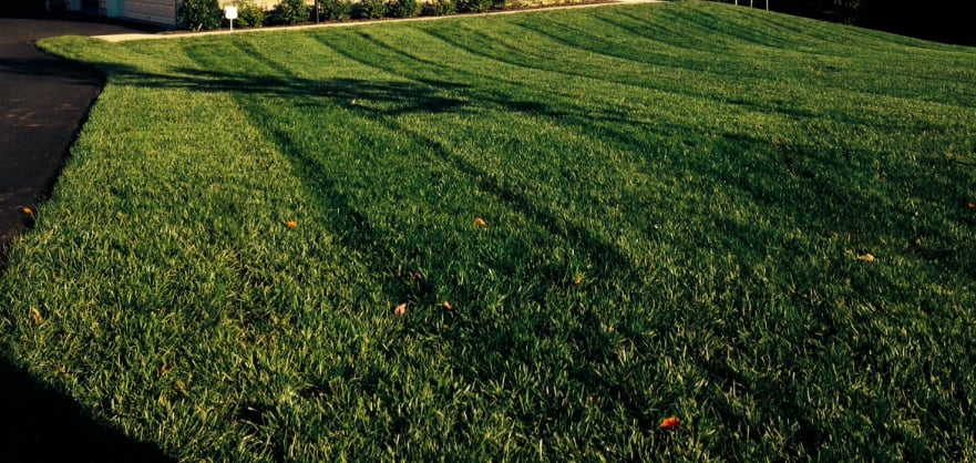 Yard Clean Up Services Leesburg, VA, by J. Mario Landscaping