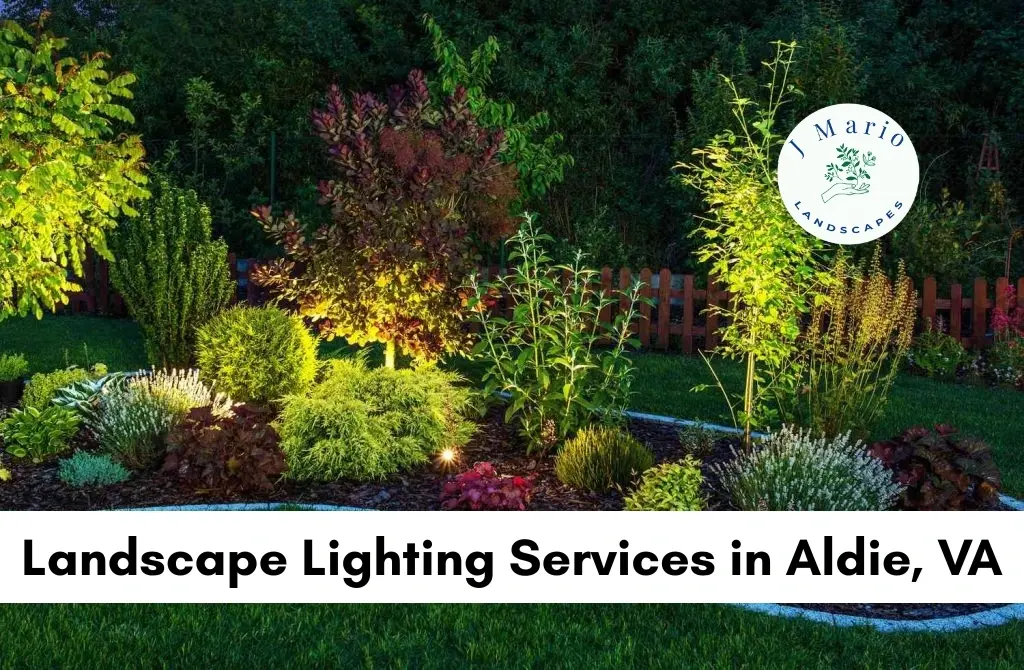 Landscape Lighting Services in Aldie, VA
